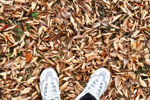 落ち葉とスニーカー