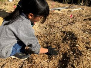 穴を掘る子ども1人