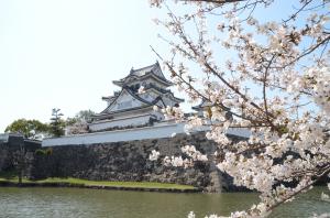 城と桜
