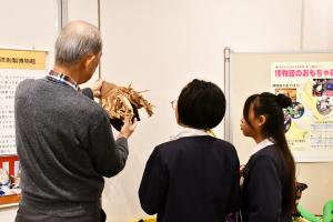 自然資料館を見学する児童たち