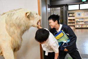 剥製の口に手を入れ、かまれて痛いふりをする男子児童