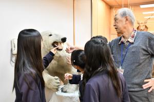 剥製の牙を触る女子児童