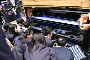 魚の水槽を見学する児童たち