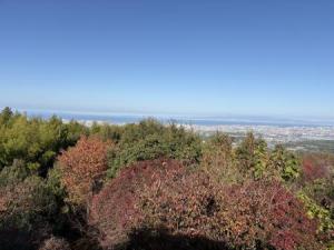 展望台からの景色