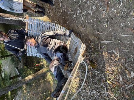 ハンモック体験