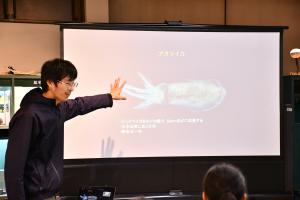 アオリイカの説明をする学芸員