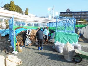 積み上げられた落ち葉を袋に詰めている様子