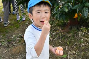 みかんを食べようとしている園児