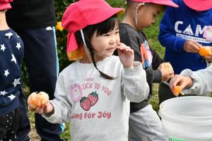 嬉しそうにみかんを食べている園児