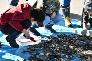 採集している様子