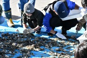 採集している様子