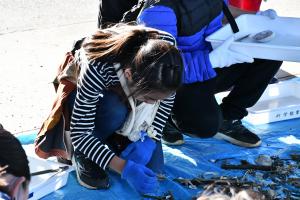 採集している様子