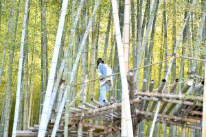 竹のアスレチック