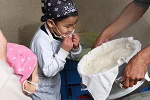 蒸し上がったもち米の香りをかぐ男の子