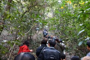 山道を歩いている様子