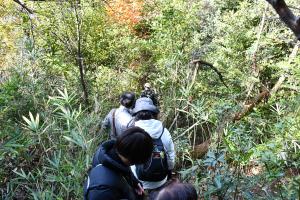 山道を歩いてい山道を