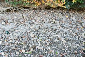 葺石がたくさんある周郷