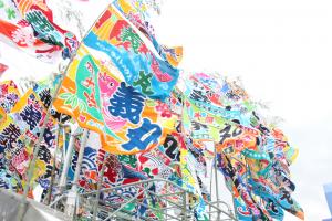 色とりどりの大漁旗