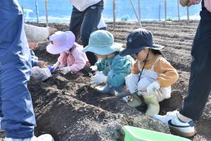 畑にしゃがむ3人に子ども