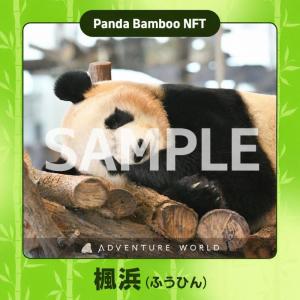 NFTサンプル画像（楓浜）