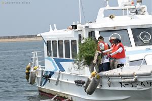 産卵床を沈める職員