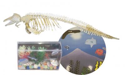 骨格標本と生き物の作品