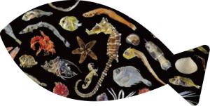 魚型に切り抜かれたチリメンモンスターたち