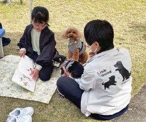 茶色のトイプードルに絵本を読み聞かす女の子