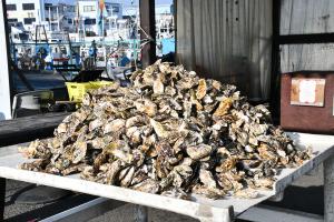 山積みの牡蠣