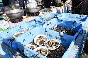 かごに入れられたたくさんの牡蠣