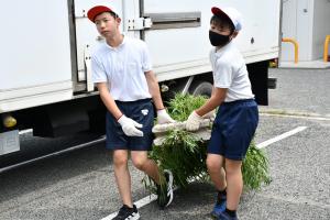 できた産卵床を運ぶ男子児童2人