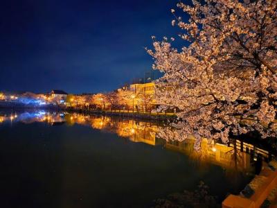 写真部門最優秀賞作品画像