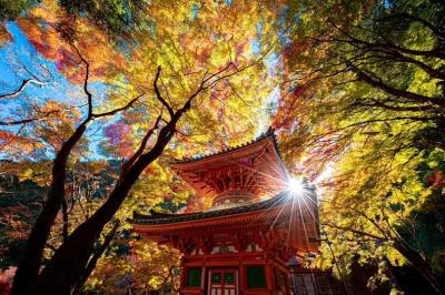 写真部門入賞作品画像