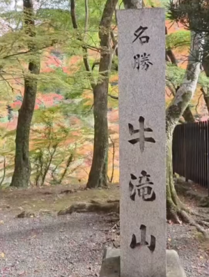 動画部門優秀賞作品画像