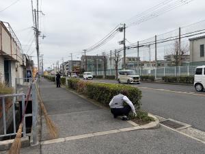 女性が草引きをしている様子