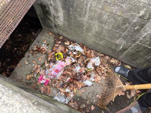 水路にゴミと落ち葉がたまっている様子