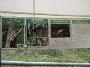 フクロウの紹介