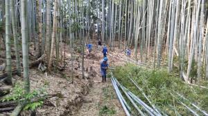 アドプトフォレストの様子