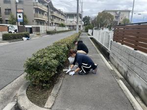 草抜きをしている女性