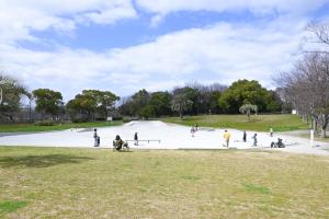 スケートパーク全体の写真