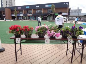 第14回ガーデニングショウ花苗配布風景