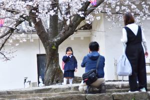 桜の前でランドセル姿の女の子の写真を撮るお父さんとお母さん