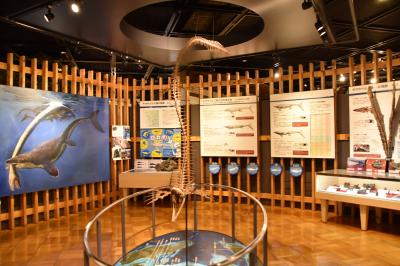 岸和田自然資料館バナー画像