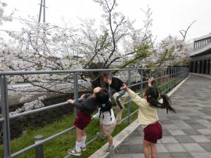 4月6日　さくらの前ではしゃぐ子どもたち