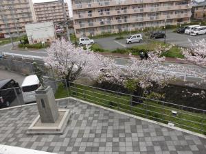 4月7日　八木市民センター屋上から見た働く少年の銅像とさくら