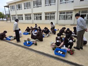 旭小学校花バスケット作成講座