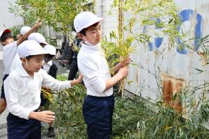 竹を選ぶ男子児童