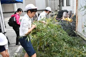 竹を選ぶ男子児童