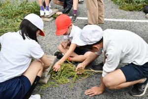 竹を紐で結ぶ児童