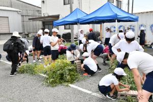 産卵床を作っている様子